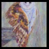 Barn Owl
Pastel, 2019