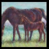 Colt and Mother in Pasture
Pastel, 2018
