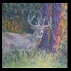 Whitetail Deer on Alert
Pastel, 2014