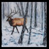 Elk in Winter
Pastel, 2021
