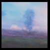 Fog Cover 
Pastel, 2015 