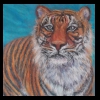 Tiger 
Pastel, 2015 